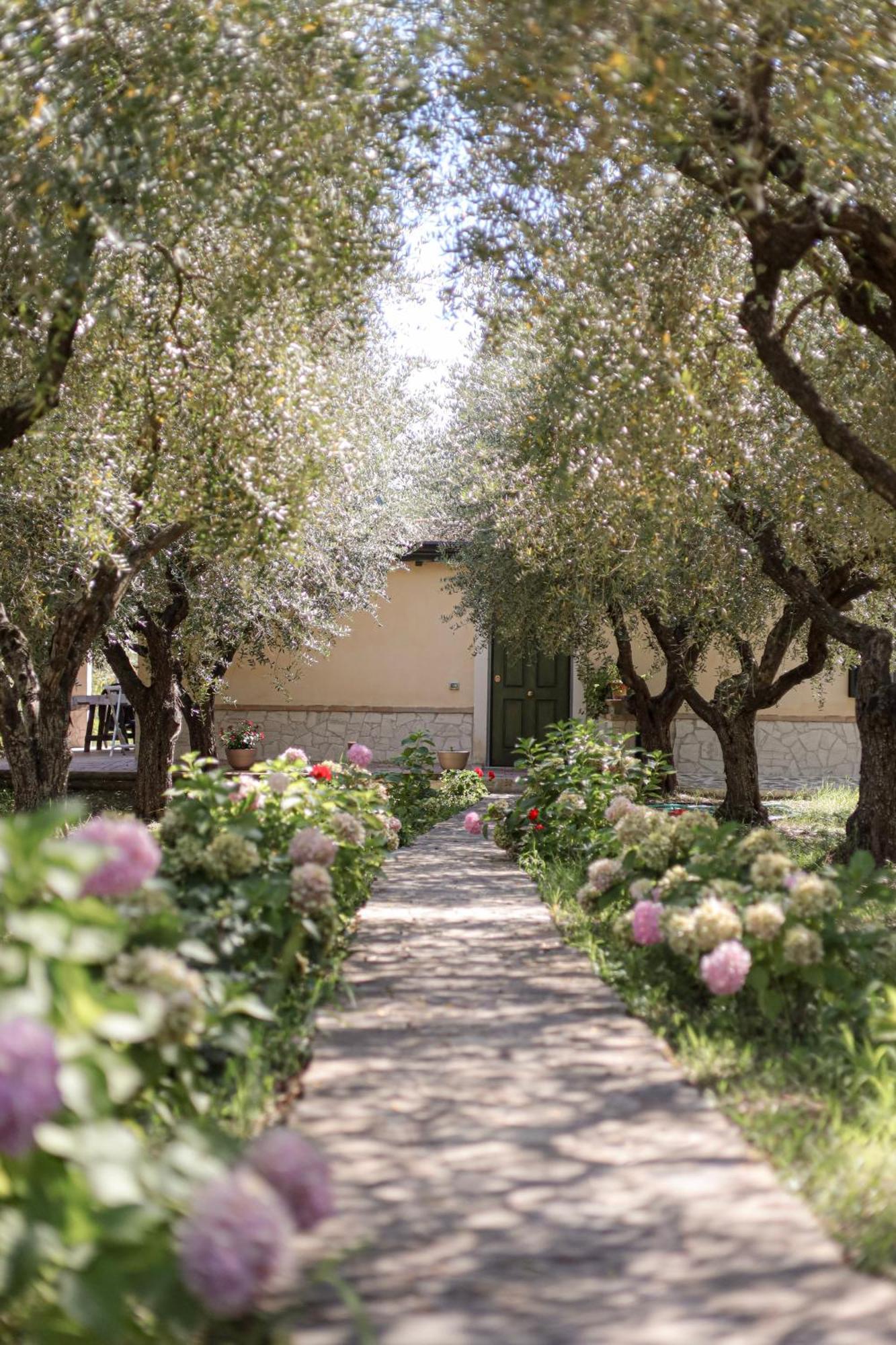 Agriturismo Il Pozzo Casal Velino Exterior foto